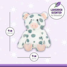 Load image into Gallery viewer, Piper Pig Warm Pal