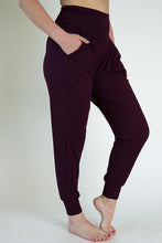 Load image into Gallery viewer, Harem Pants Burgundy
